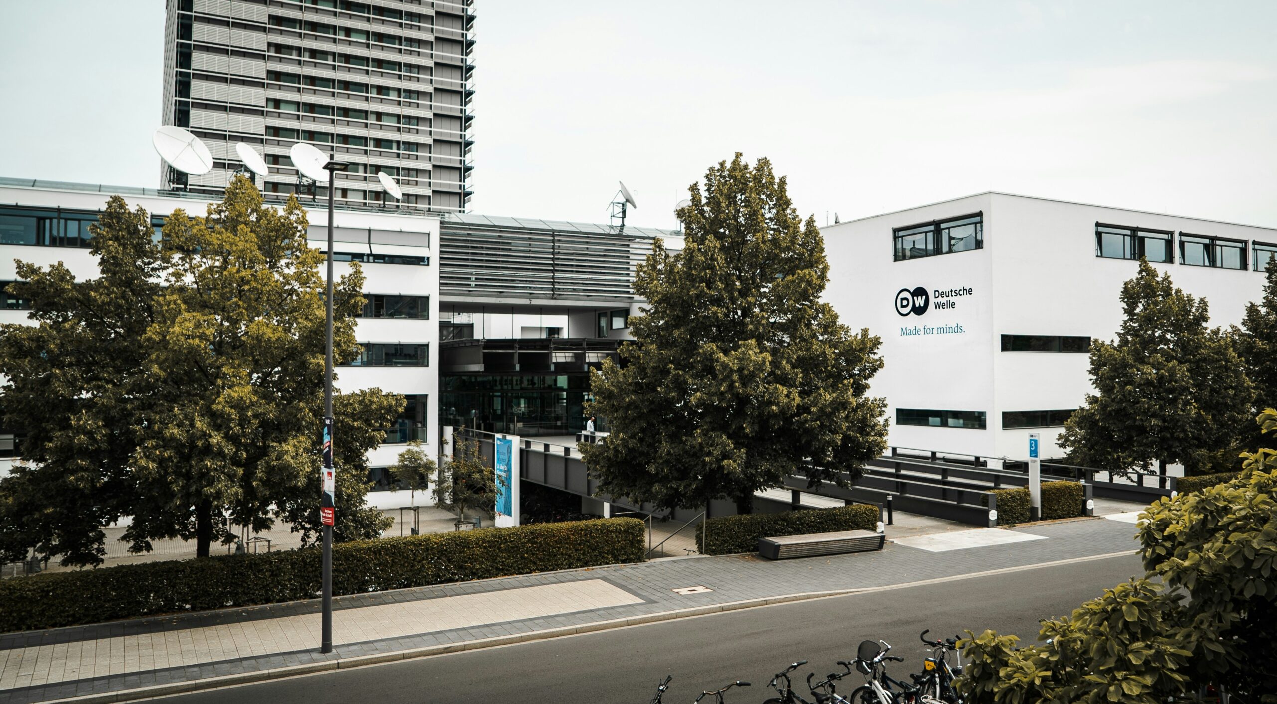 green tree near white concrete building during daytime